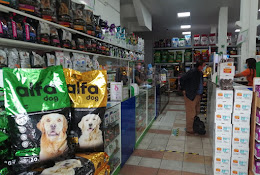 Adspet Market Concepción