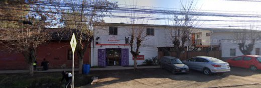 Animaldea Clinica Veterinaria