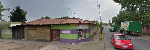 Animalia Chillán