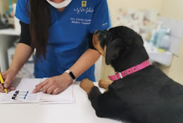 Animalvet Peñalolen