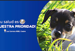 Bluevet Veterinaria Y Laboratorio Clínico