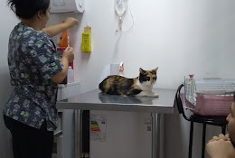 Bustamante Park Clínica Veterinaria