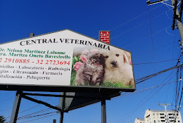 Central Veterinary Martinez Oneto