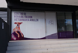Centro De Rehabilitación Veterinaria Amulen