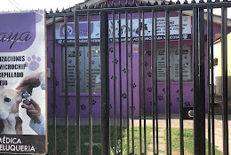 Centro Integral Veterinario Iraya