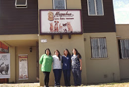 Centro Medico Veterinario Maquehue
