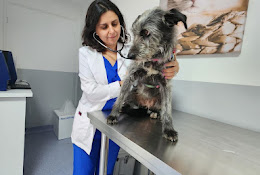 Centro Oncológico Veterinario Santiago (Cov Santiago)