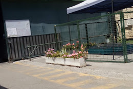 Centro Rescate Canino Ñuñoa