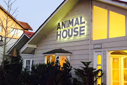 Centro Veterinario Animal House