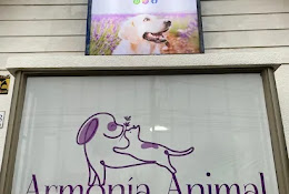 Centro Veterinario Armonía Animal