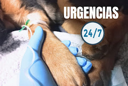 Centro Veterinario Ciruvet Ñuñoa