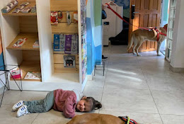 Centro Veterinario Fundación Julieta