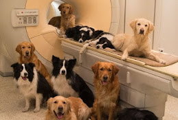 Centro Veterinario Hannover, La Serena