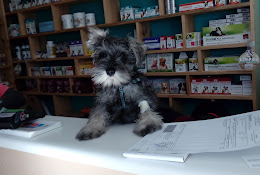 Centro Veterinario Laguna Redonda