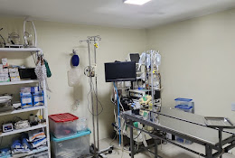 Centro Veterinario Libertad