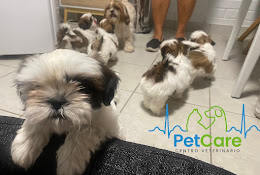 Centro Veterinario Petcare
