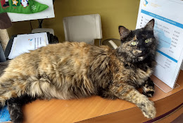 Centro Veterinario San Ignacio