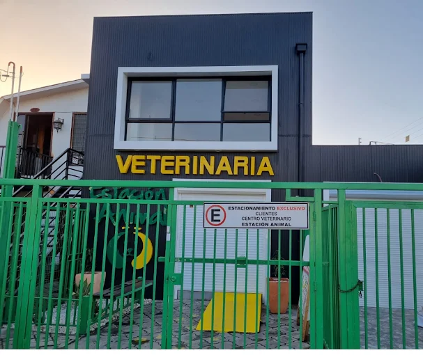 Centro Veterinarío Station