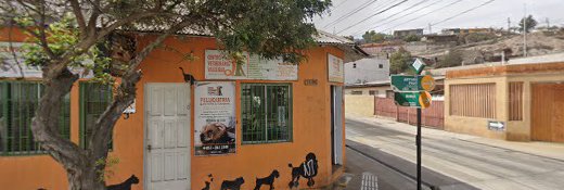 Centro Veterinario Vallenar