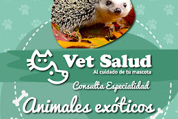 Centro Veterinario Vet Salud