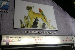 Centro Veterinario Vitanimal