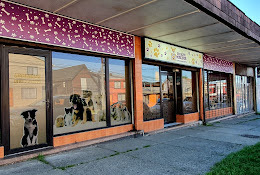 Clínica Estación Mascotas