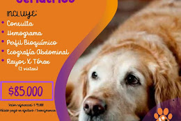 Clinica Vetcare