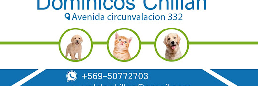 Clinica Veterinara Dominicos Chillan