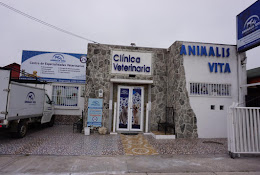 Clínica Veterinaria Animalis Vita