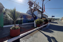 Clinica Veterinaria Animal's Vet