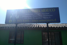 Clínica Veterinaria Arauco