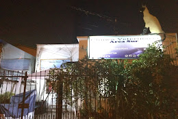 Clinica Veterinaria Area Sur
