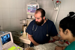 Clínica Veterinaria Bellavista