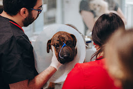 Clínica Veterinaria Bon Amie