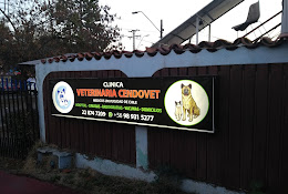 Clínica Veterinaria 