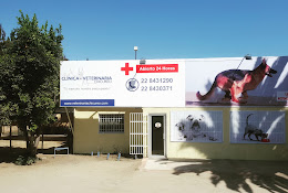Clinica Veterinaria Chicureo