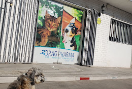 Clínica Veterinaria Cmai