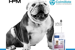Clínica Veterinaria Colmillote