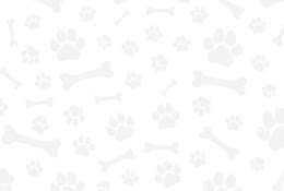Clínica Veterinaria Cruz Azul