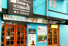 Clínica Veterinaria Cvms, En San Miguel, Santiago