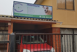 Clínica Veterinaria Doctor Mascota