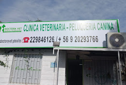 Clínica Veterinaria Doctora Vet Puente Alto