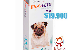 Clínica Veterinaria El Águila