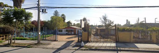 Clinica Veterinaria El Canelo Limitada