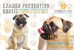 Clinica Veterinaria El Sol