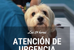 Clinica Veterinaria Elqui