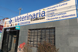 Clínica Veterinaria Exohouse