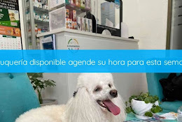 Clínica Veterinaria Exotic Vet