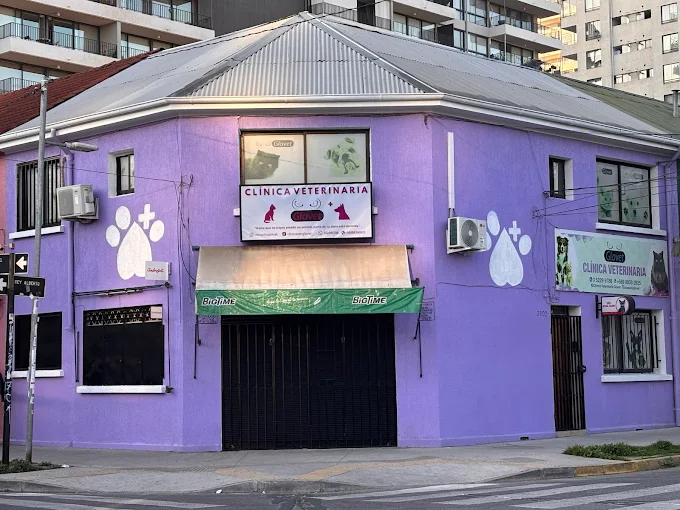 Clinica Veterinaria Glovet