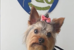 Clínica Veterinaria Go